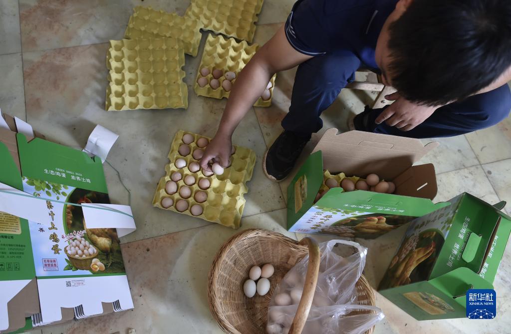 辉煌糖果派对网址